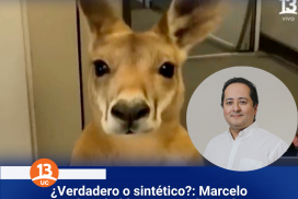 ¿Verdadero o sintético?: Marcelo Mendoza habla con Canal13 sobre los videos creados con IA que inundan las redes sociales