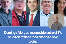 Domingo Mery es reconocido entre el 2% de los científicos más citados a nivel global
